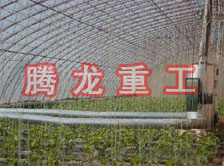 大棚花卉供暖設(shè)備、大棚卉采暖設(shè)備、大棚花卉取暖設(shè)備