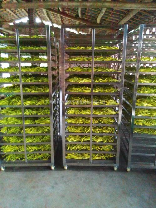 黃花菜烘干機(jī)、黃花菜烘干設(shè)備、黃花菜干燥機(jī)、黃花菜干燥設(shè)備、
